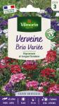 Fleurs - Verveine Brio Variée - PACKAGING_RECTO